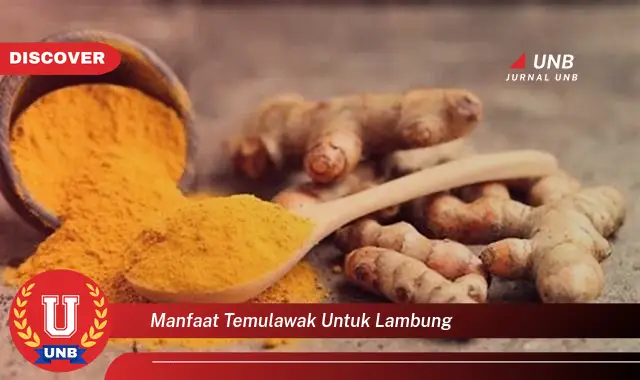 manfaat temulawak untuk lambung