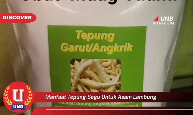 manfaat tepung sagu untuk asam lambung