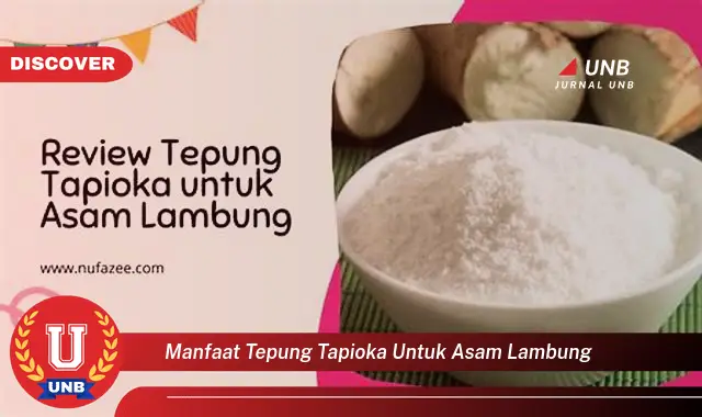 manfaat tepung tapioka untuk asam lambung manfaat tepung tapioka untuk asam lambung