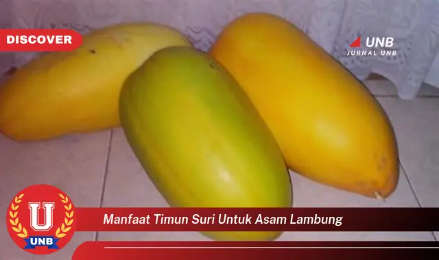 manfaat timun suri untuk asam lambung