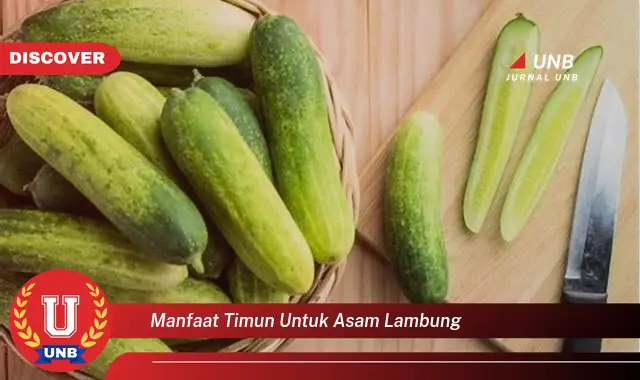 manfaat timun untuk asam lambung