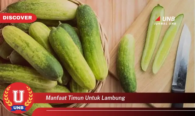 manfaat timun untuk lambung