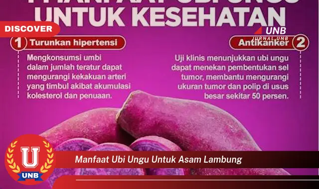 manfaat ubi ungu untuk asam lambung