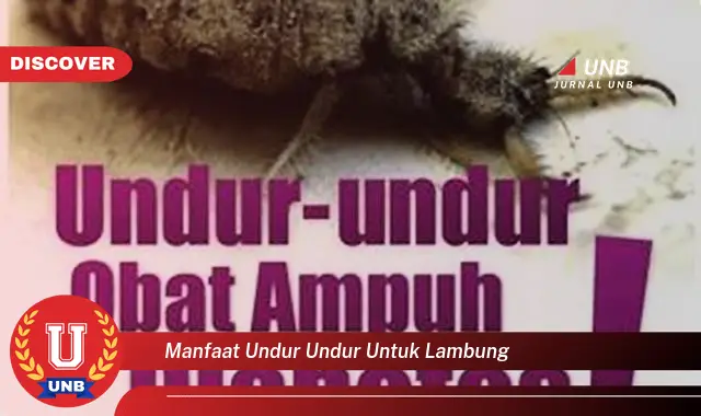 manfaat undur undur untuk lambung