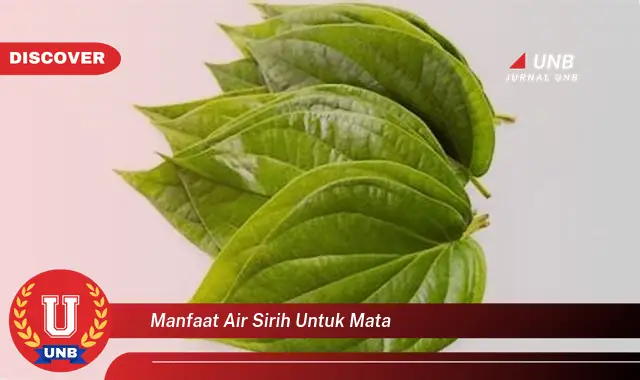 manfaat air sirih untuk mata