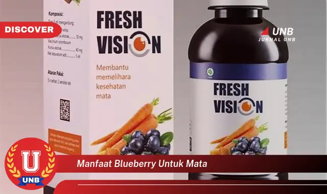 manfaat blueberry untuk mata