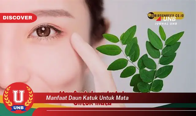 manfaat daun katuk untuk mata manfaat daun katuk untuk mata