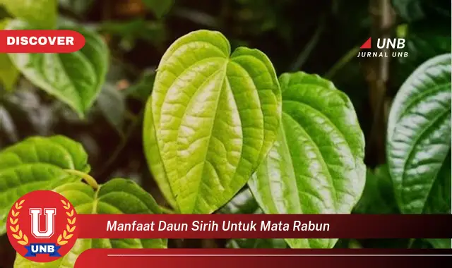 Intip 6 Manfaat Daun Sirih untuk Mata Rabun yang Jarang Diketahui
