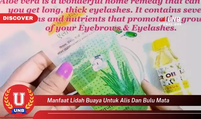 manfaat lidah buaya untuk alis dan bulu mata