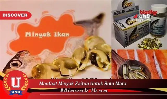 manfaat minyak zaitun untuk bulu mata manfaat minyak zaitun untuk bulu mata