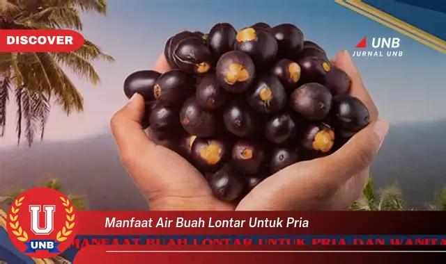 manfaat air buah lontar untuk pria manfaat air buah lontar untuk pria