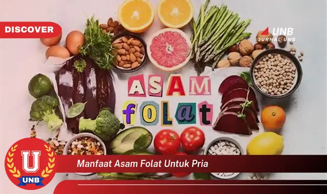 manfaat asam folat untuk pria