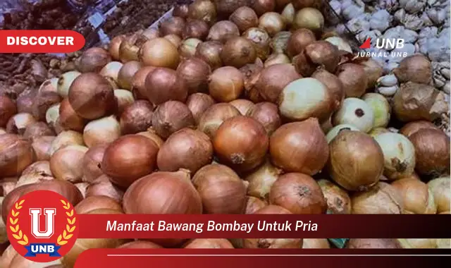 manfaat bawang bombay untuk pria