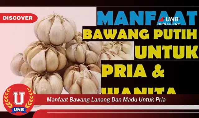 manfaat bawang lanang dan madu untuk pria