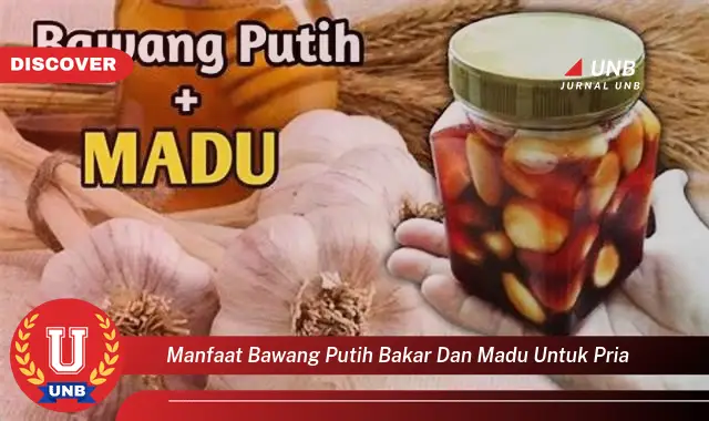 manfaat bawang putih bakar dan madu untuk pria