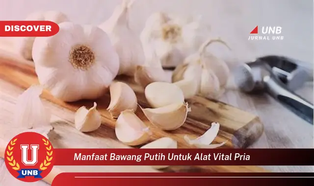 manfaat bawang putih untuk alat vital pria