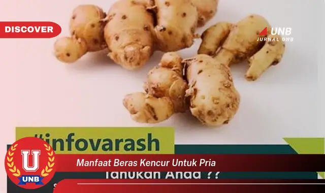 manfaat beras kencur untuk pria