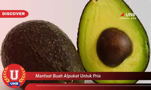 manfaat buah alpukat untuk pria manfaat buah alpukat untuk pria