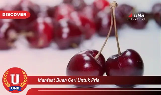 manfaat buah ceri untuk pria