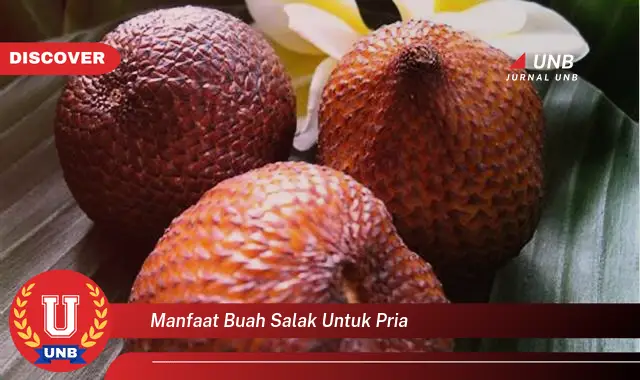 manfaat buah salak untuk pria