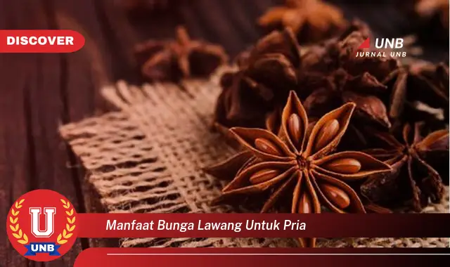 manfaat bunga lawang untuk pria manfaat bunga lawang untuk pria
