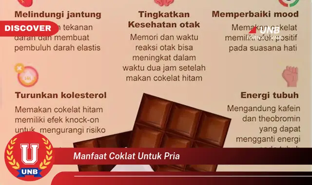 manfaat coklat untuk pria