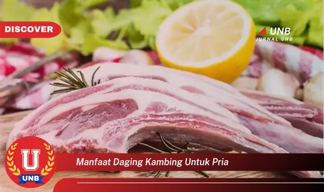 manfaat daging kambing untuk pria