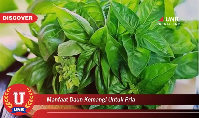 manfaat daun kemangi untuk pria