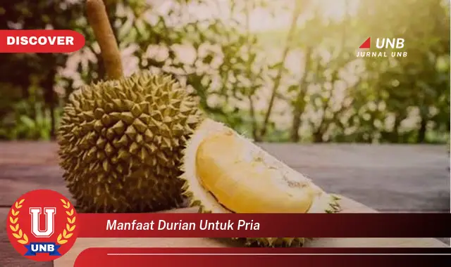 manfaat durian untuk pria manfaat durian untuk pria