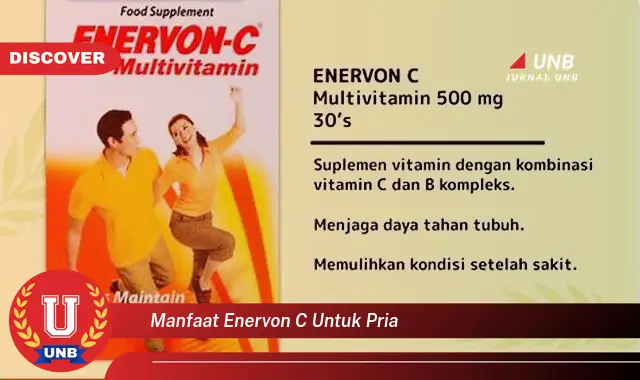 manfaat enervon c untuk pria