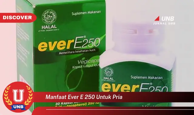 manfaat ever e 250 untuk pria manfaat ever e 250 untuk pria