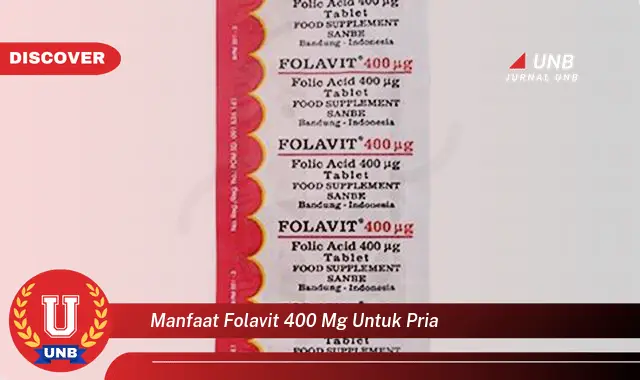 manfaat folavit 400 mg untuk pria