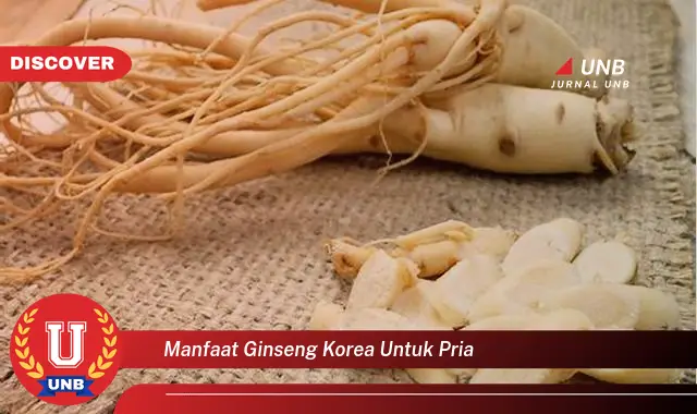 manfaat ginseng korea untuk pria manfaat ginseng korea untuk pria