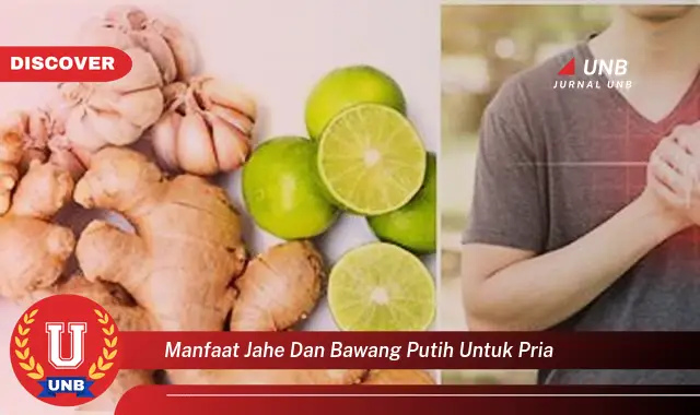 manfaat jahe dan bawang putih untuk pria