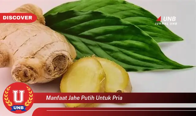 manfaat jahe putih untuk pria