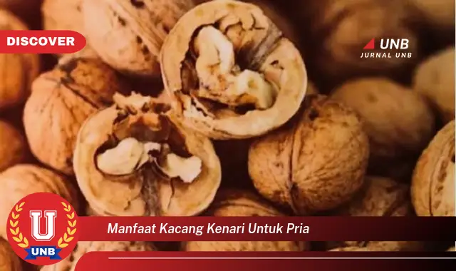 manfaat kacang kenari untuk pria