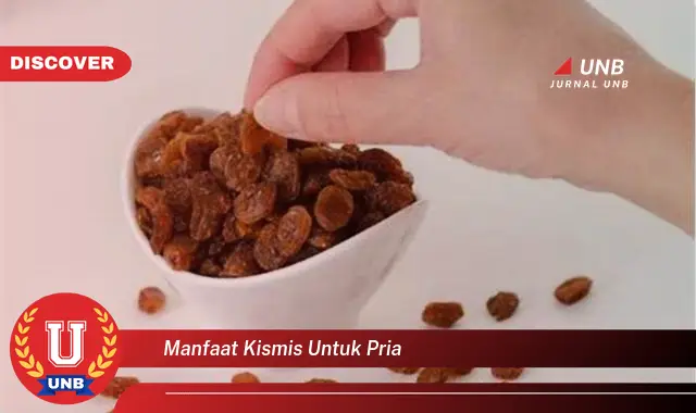 manfaat kismis untuk pria