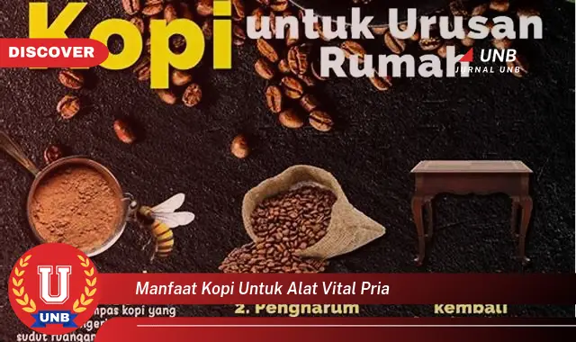 manfaat kopi untuk alat vital pria manfaat kopi untuk alat vital pria