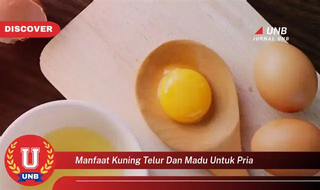manfaat kuning telur dan madu untuk pria