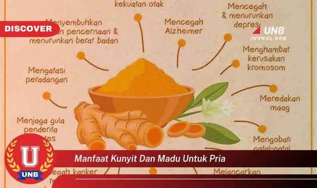 manfaat kunyit dan madu untuk pria