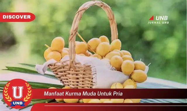 manfaat kurma muda untuk pria manfaat kurma muda untuk pria