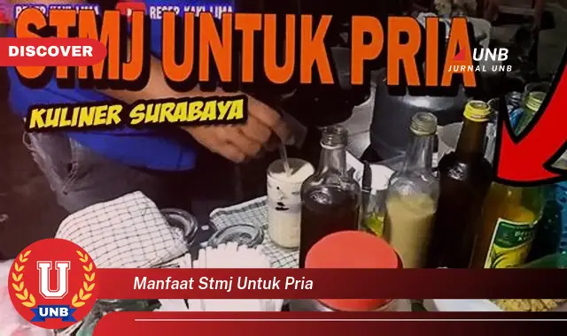 manfaat stmj untuk pria manfaat stmj untuk pria