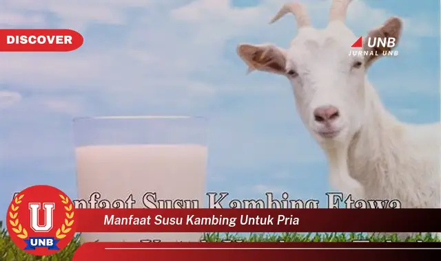 manfaat susu kambing untuk pria