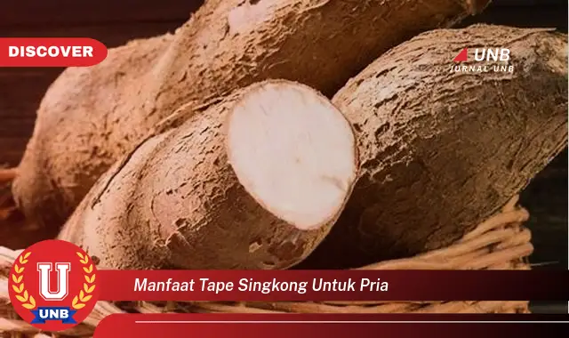 manfaat tape singkong untuk pria