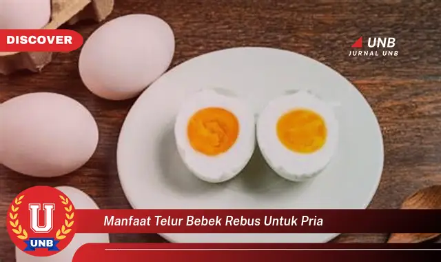 manfaat telur bebek rebus untuk pria