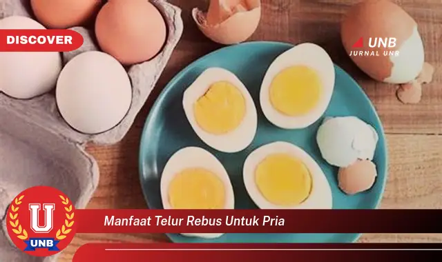 manfaat telur rebus untuk pria