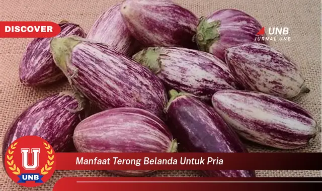 manfaat terong belanda untuk pria