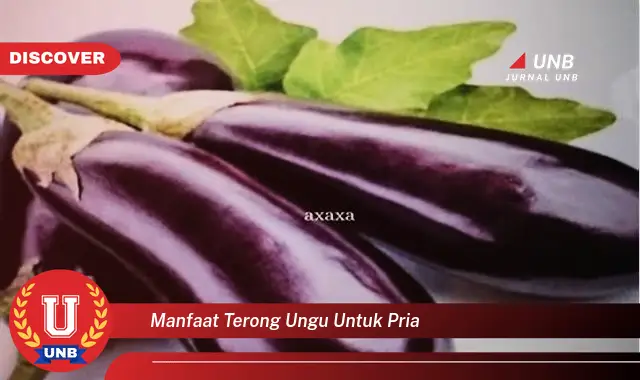 manfaat terong ungu untuk pria