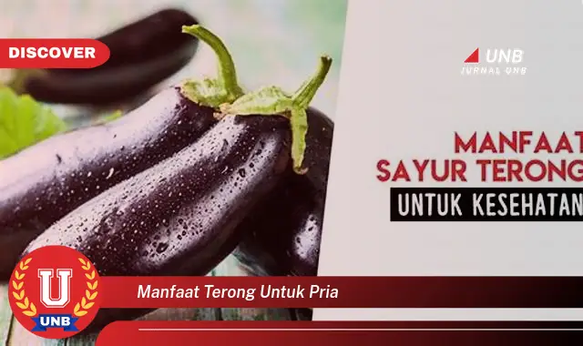 manfaat terong untuk pria manfaat terong untuk pria