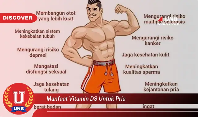 manfaat vitamin d3 untuk pria